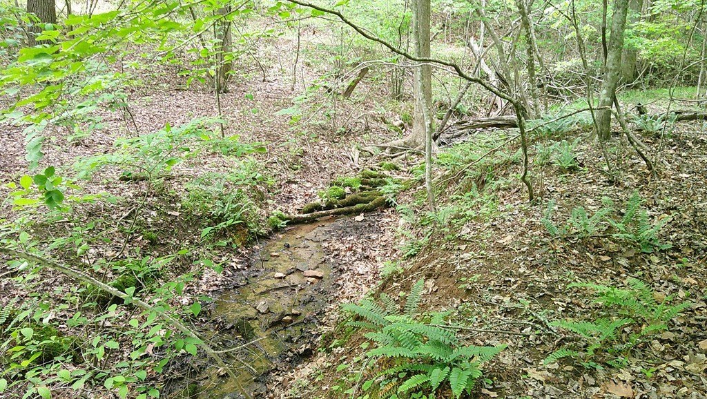 Picture 27