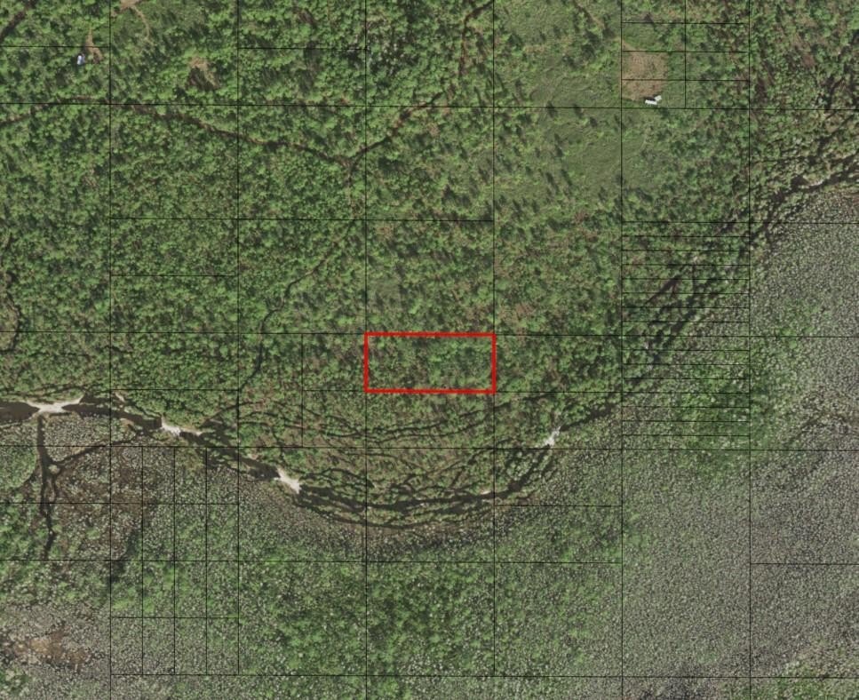 Recreational Land in Holopaw Groves