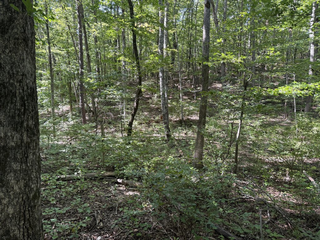 Picture 15