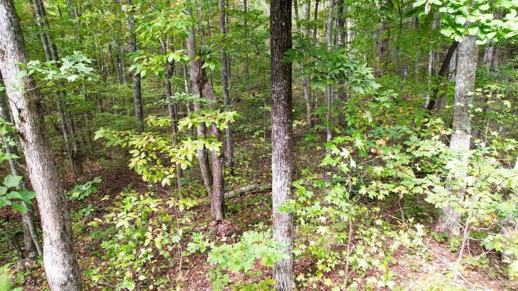 Picture 3