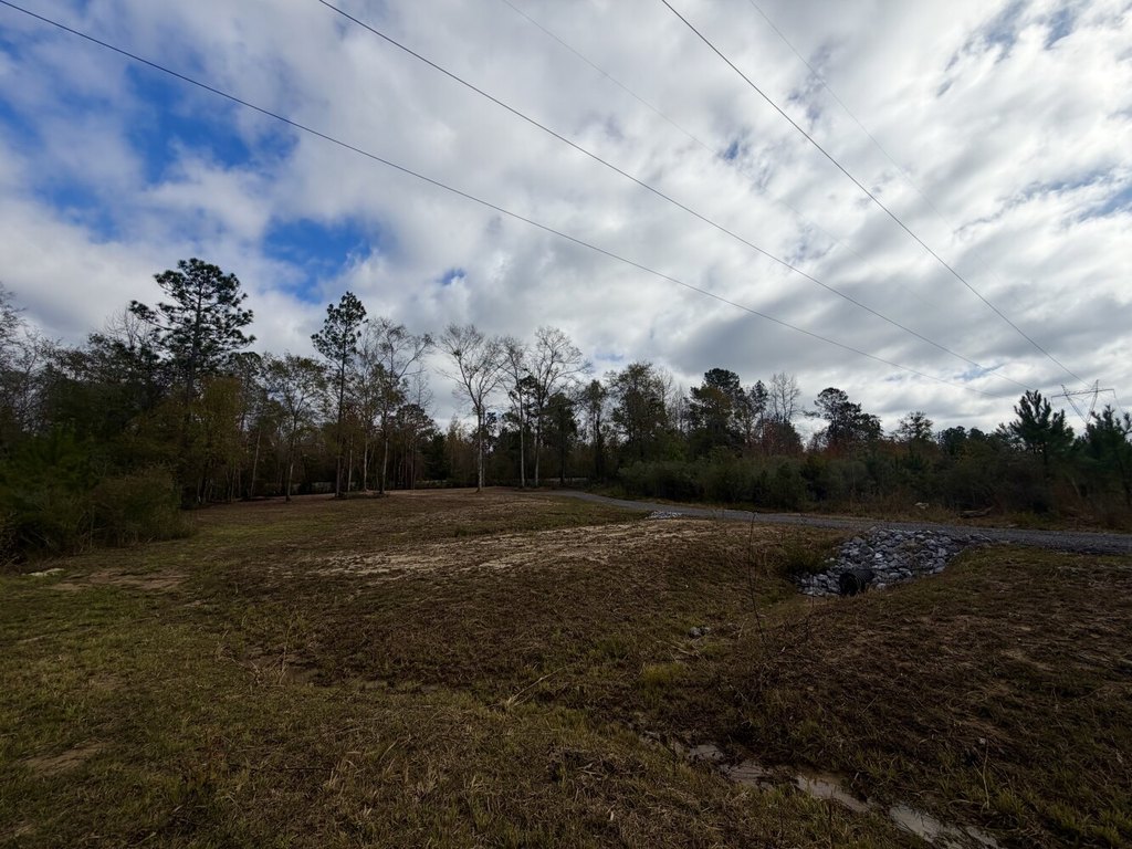 Picture 36