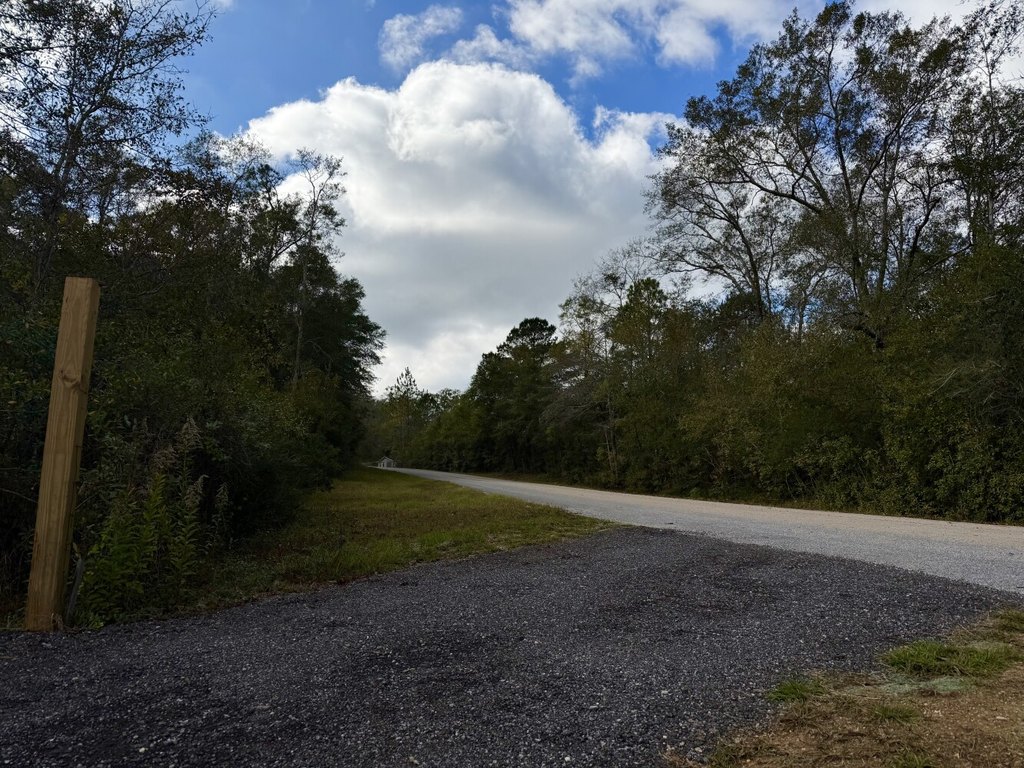 Picture 27
