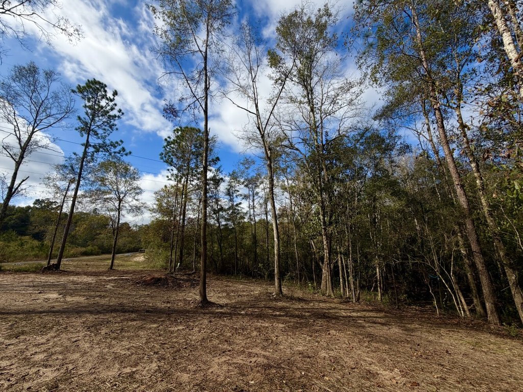Picture 29