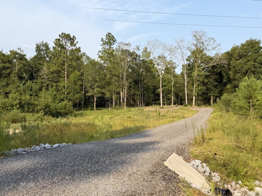 Picture 6