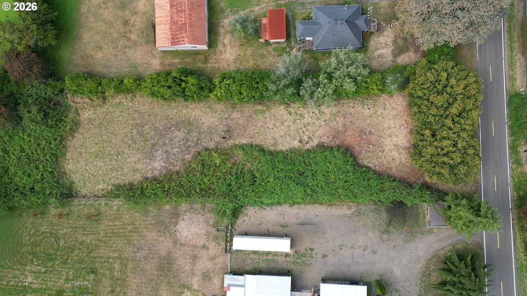 Picture 3