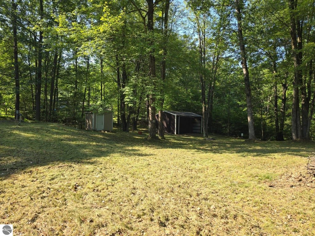 Picture 21