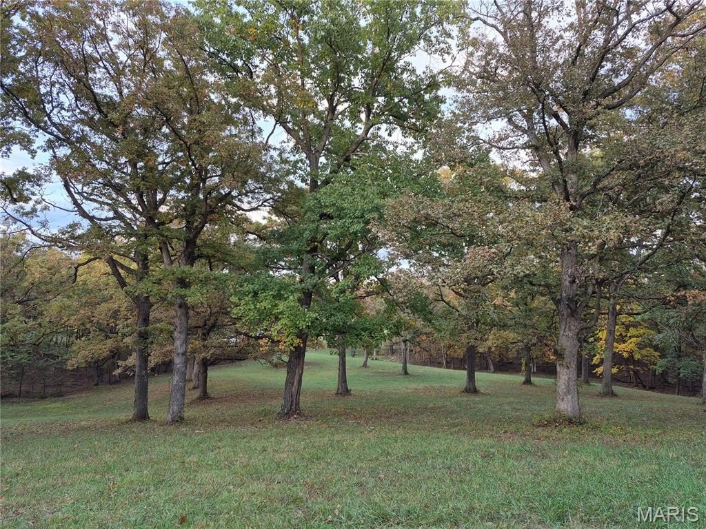 Picture 8