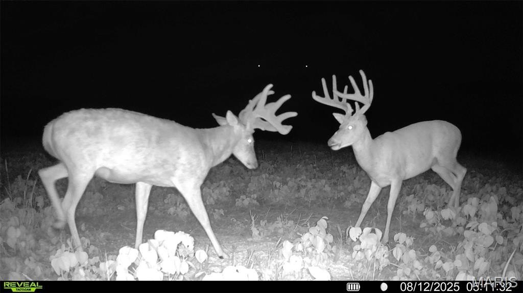 Picture 16
