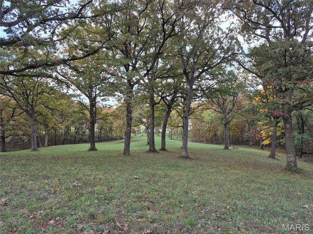 Picture 11