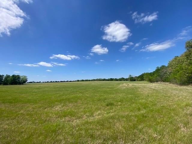 20 Acres of Texas Land