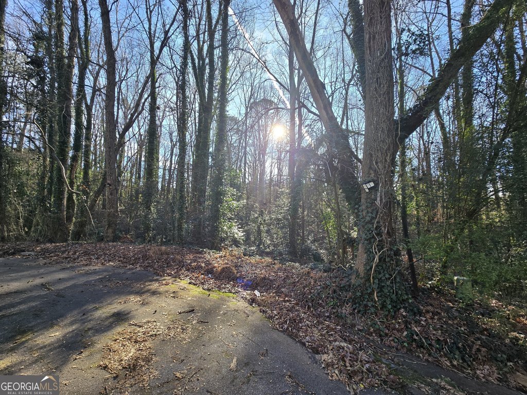 Picture 3