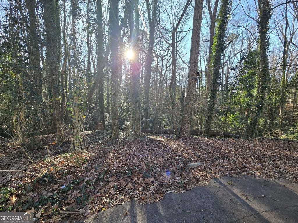 Picture 2