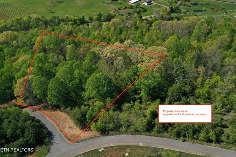 Lots & Acreage, Sweetwater, TN