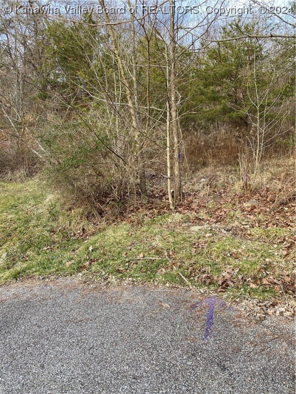 Land in Cross Lanes, WV