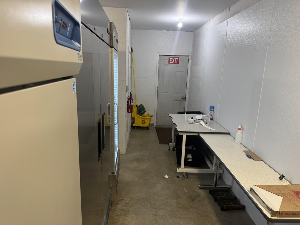 Picture 29