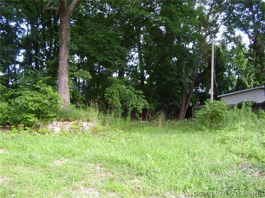 Picture 6