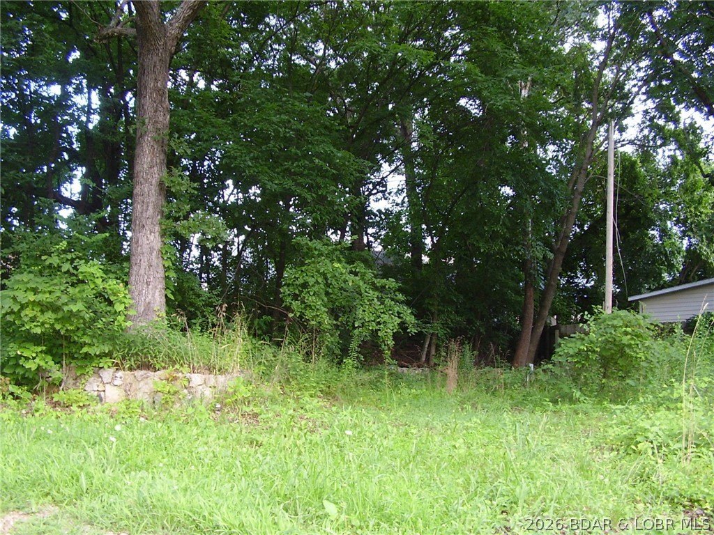 Picture 2