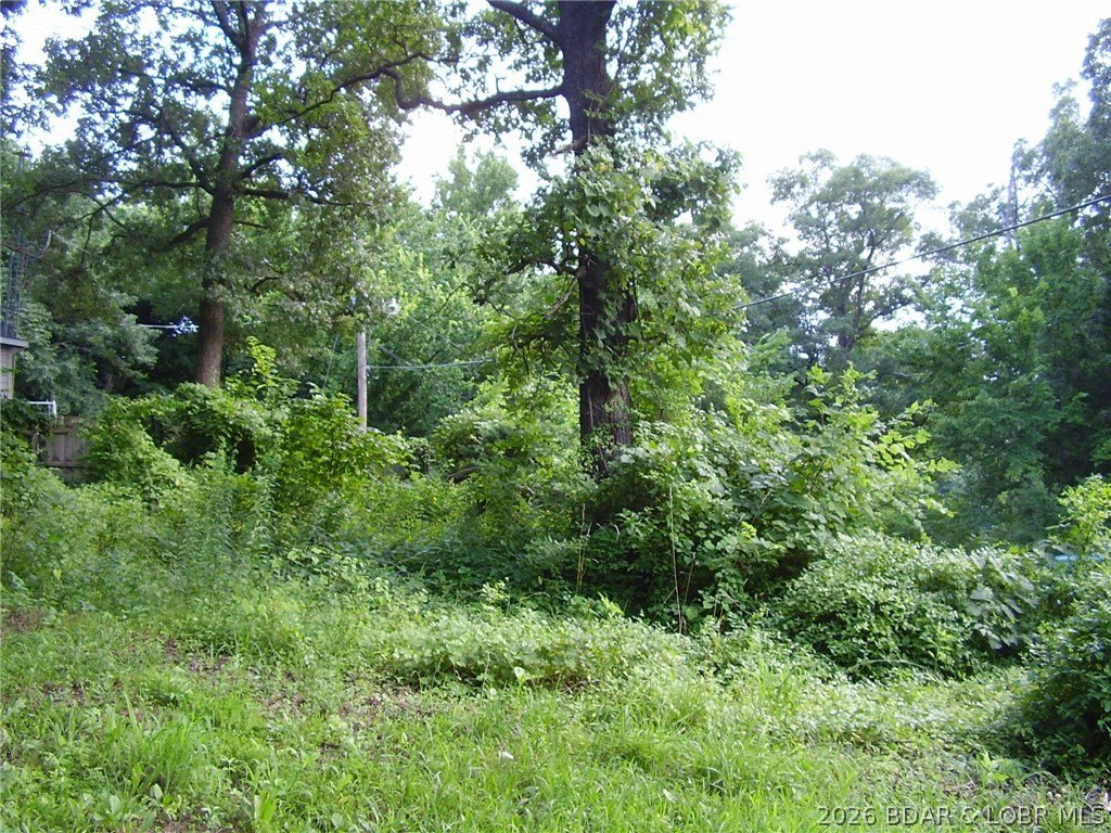 Picture 8