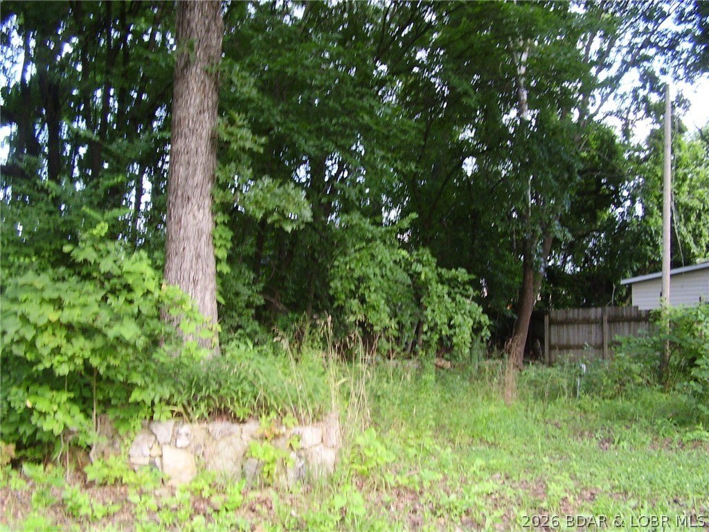 Picture 7