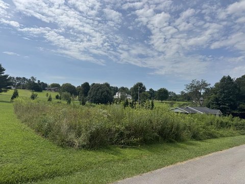 Land, Albany, KY
