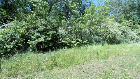 Phenix City Land Opportunity