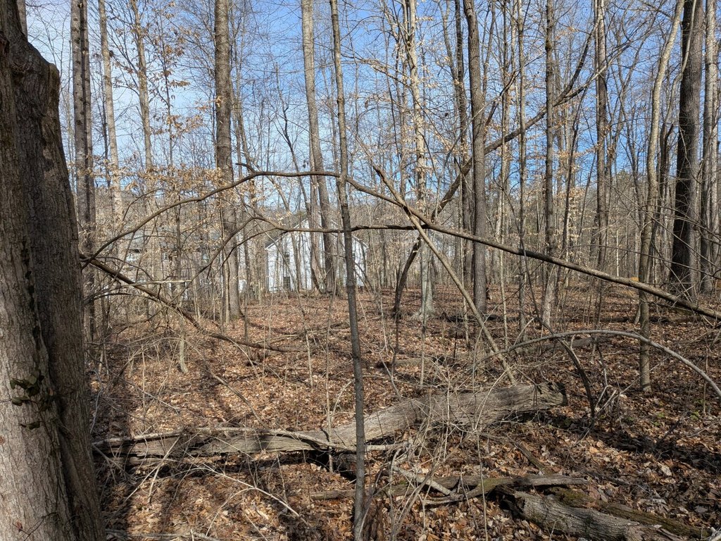 Picture 8