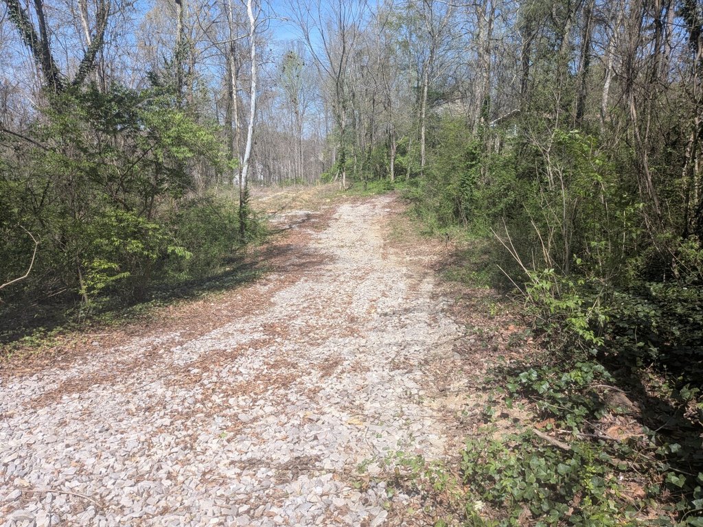 Picture 13