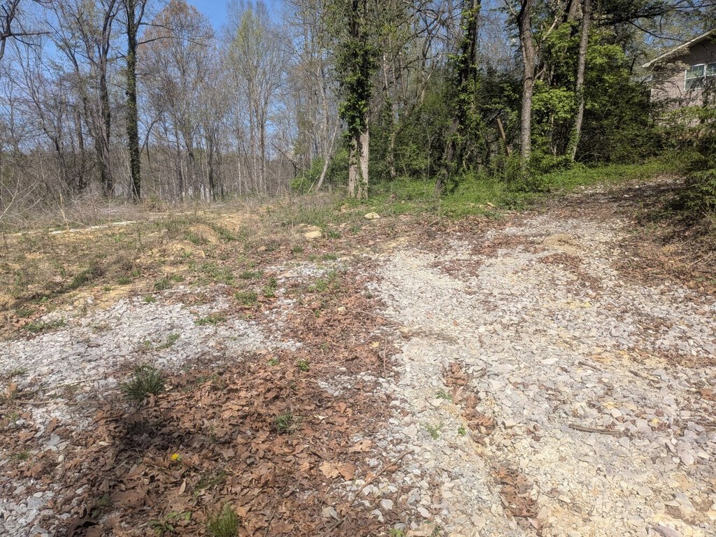 Picture 12