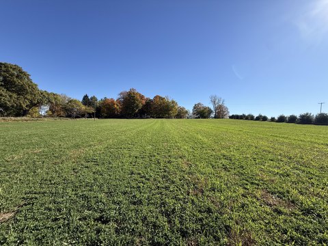 Land, Marshall, MI