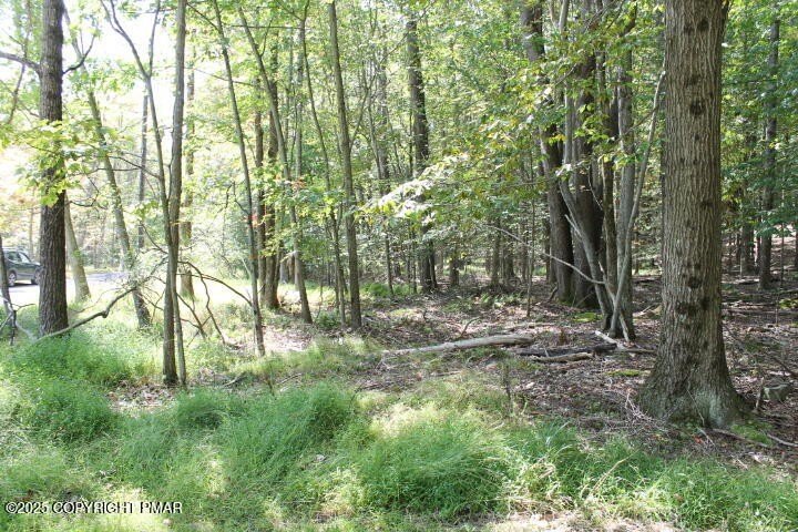 Land in Arrowhead Lake