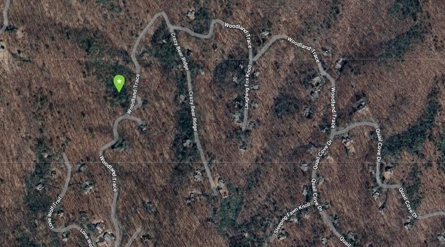 Residential Lot in Big Canoe