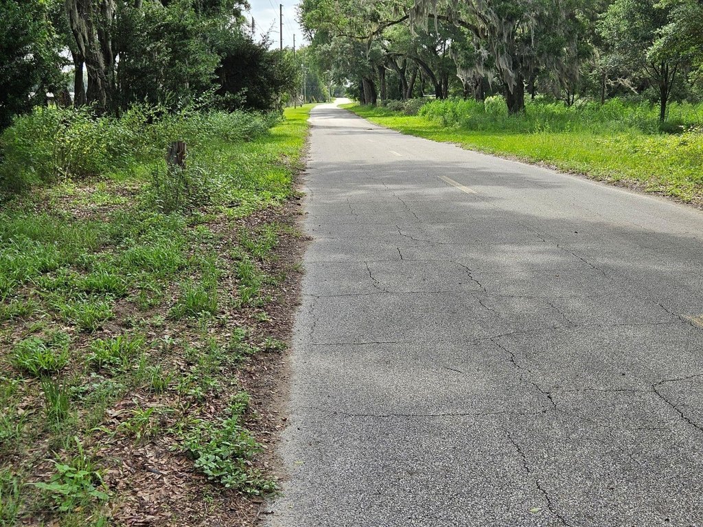 Picture 14