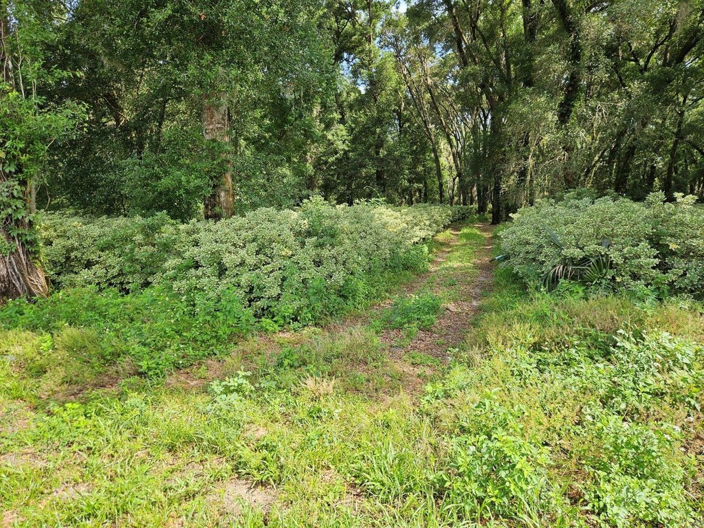 Picture 9