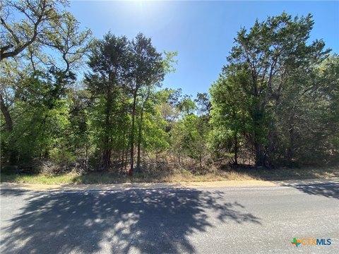New Braunfels Acreage with Trees