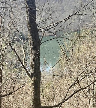 Smoky Mountain Homesite with Lake Views