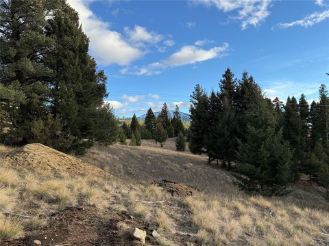 Acreage With Mountain Views