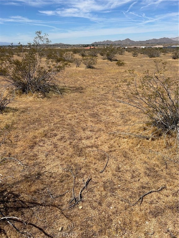 Picture 6