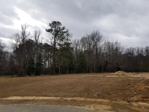 Residential Land in Roanoke Rapids