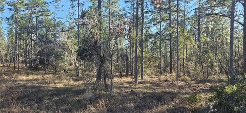 Rainbow Lakes Estates One-Acre Lot