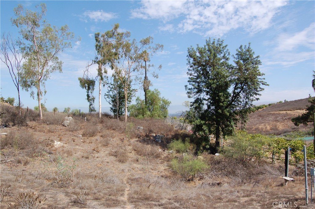 Picture 33