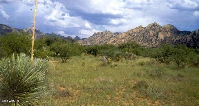 Saint David Land with Views
