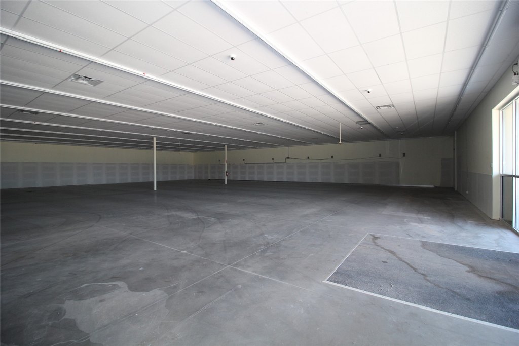 Picture 8
