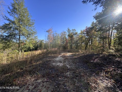 Lots & Acreage, Jamestown, TN