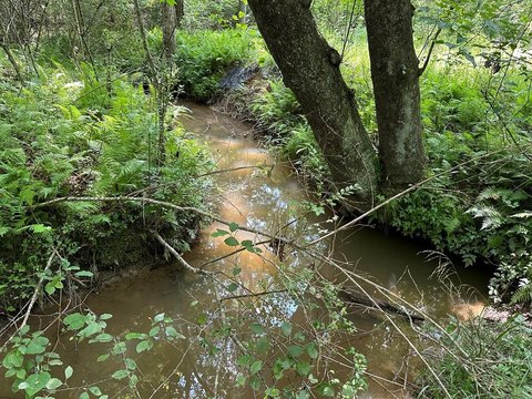 LAND - Morganton, GA