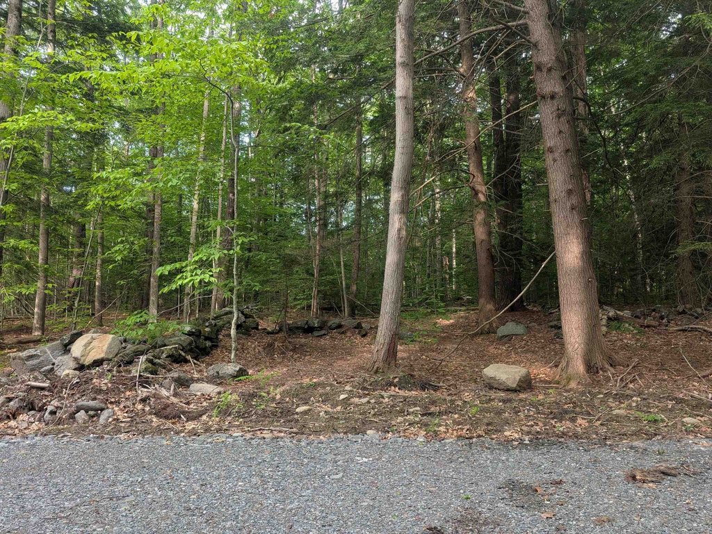 Picture 28