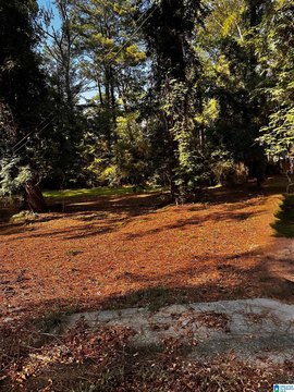 LAND/LOTS, GADSDEN, AL