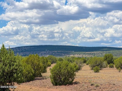 LAND - Ash Fork, AZ