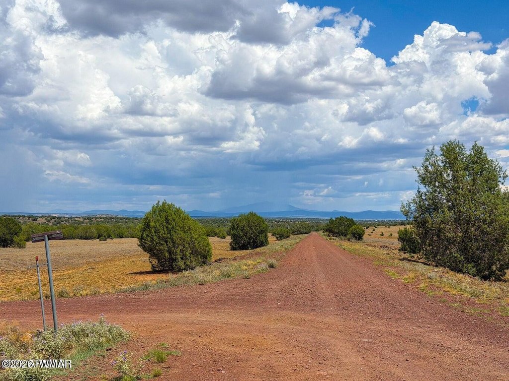 Picture 8