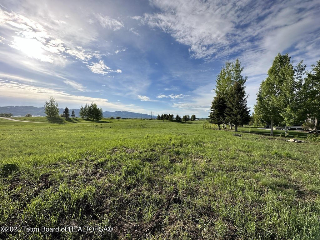 Picture 8