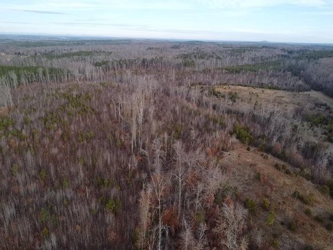 Secluded Land Near Highway 360